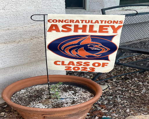 Custom Graduation Yard Flag