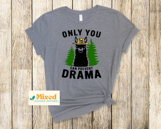 *Only You Can Prevent Drama shirt