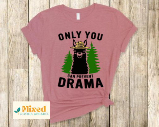 *Only You Can Prevent Drama shirt