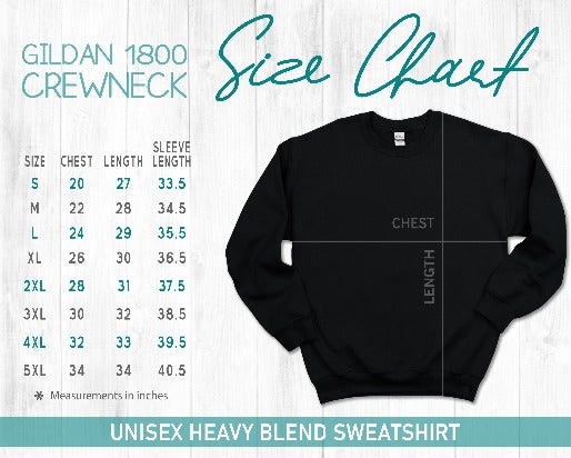 Be A Kind Human Shirt (sweatshirt option available)